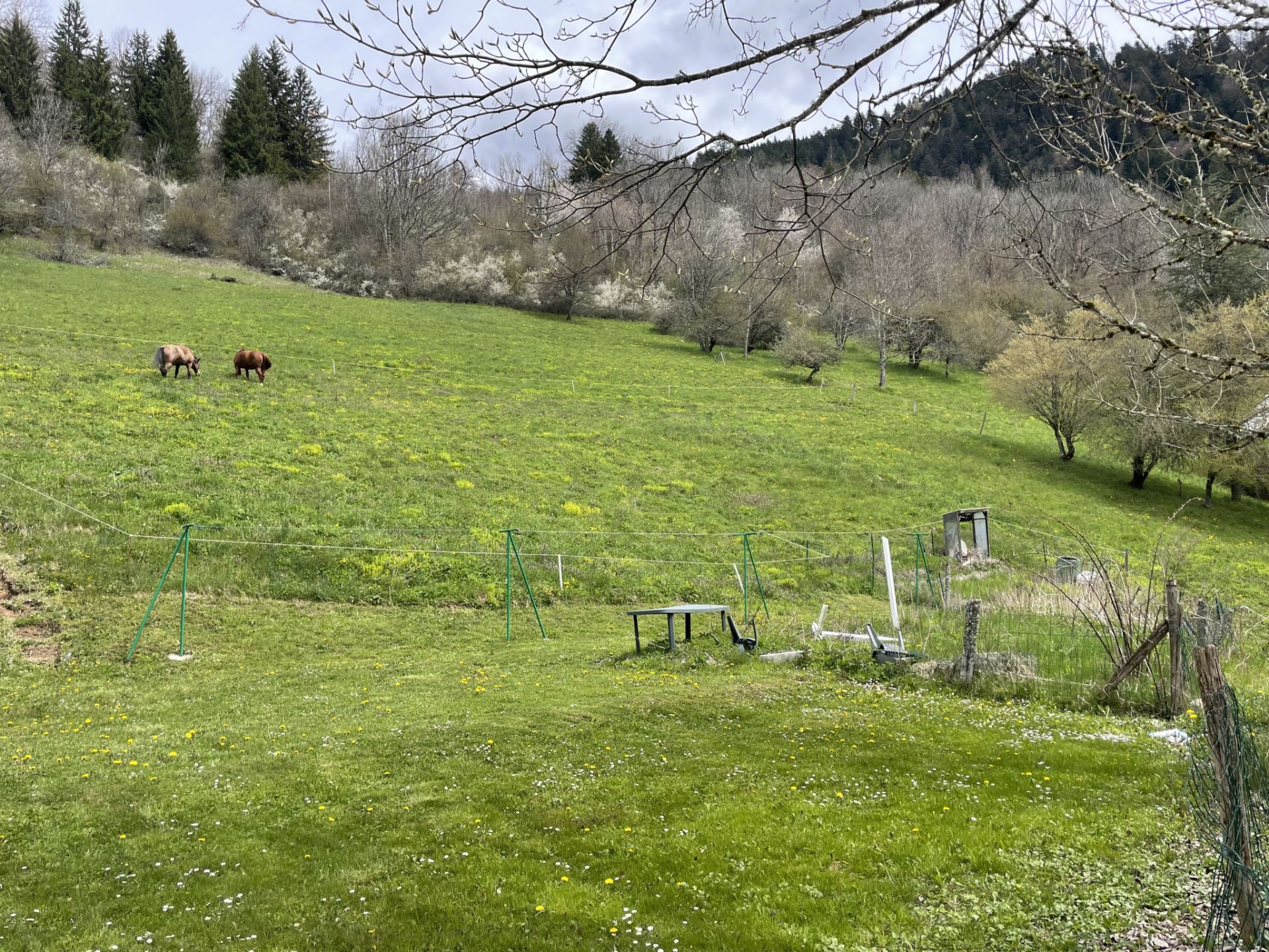 terrain en vente sur Saint-Pierre-de-Chartreuse (38380)