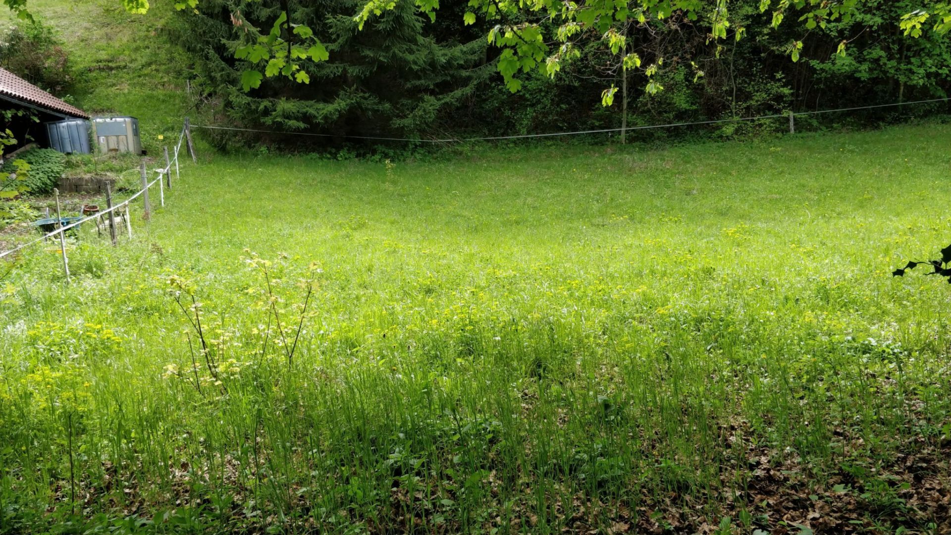 land for sale on Quaix-en-Chartreuse (38950)