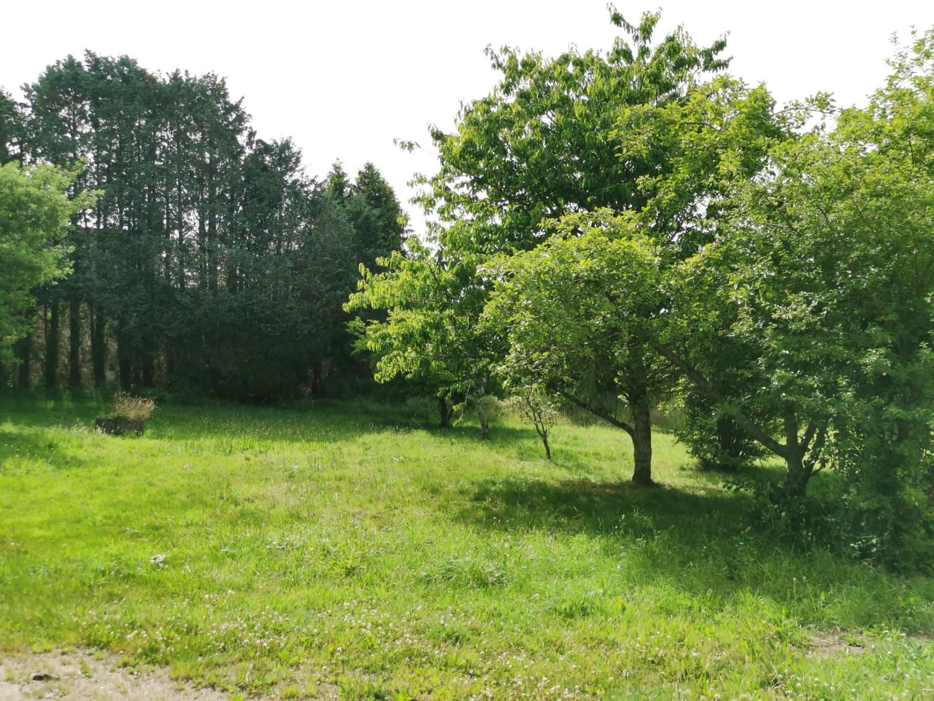 land for sale on Pluguffan (29700)