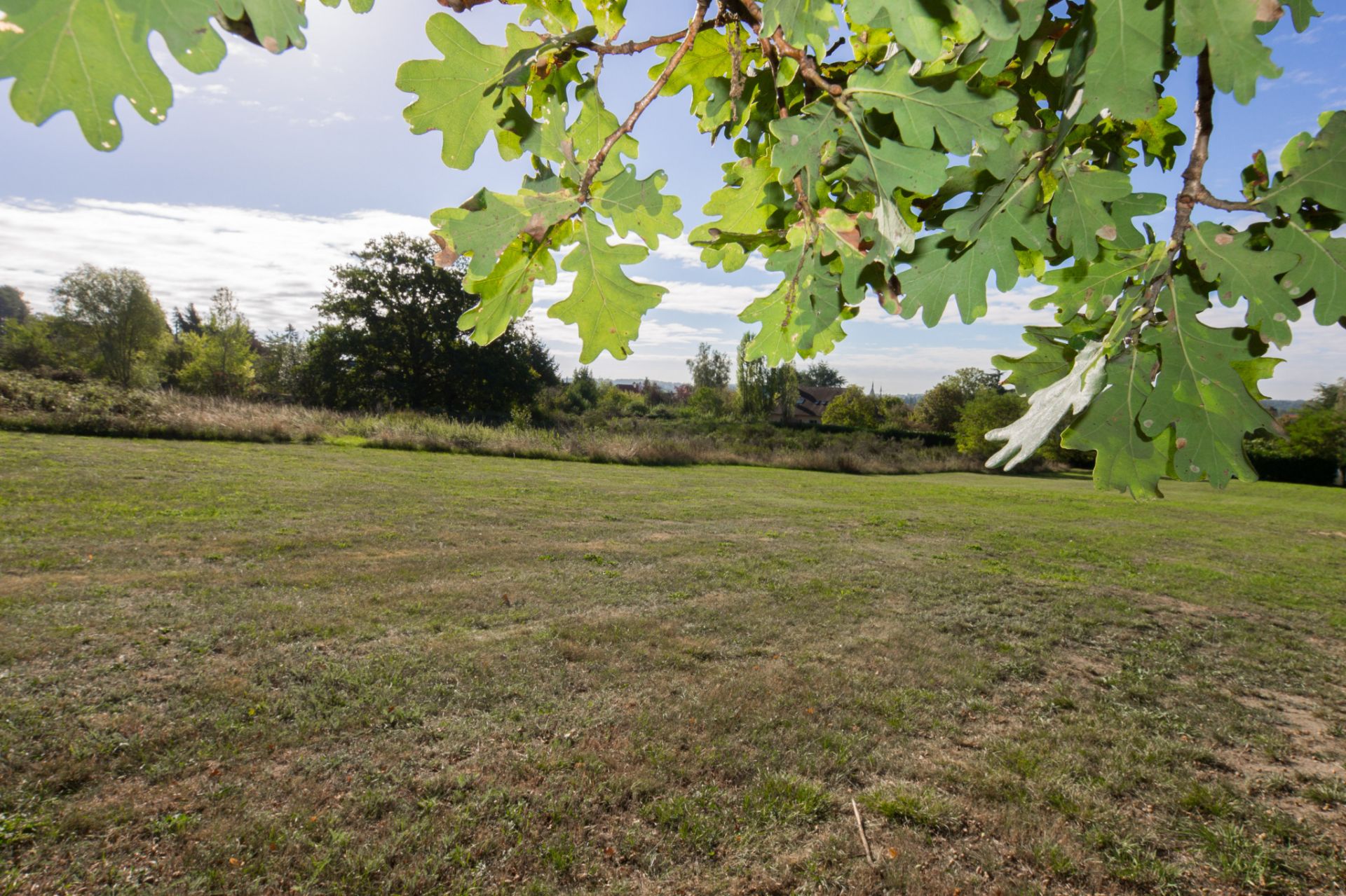 land for sale on Dourdan (91410)