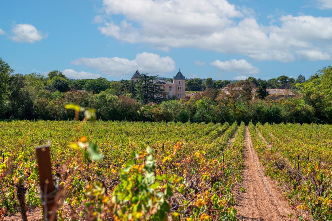 château 25 Pièces en vente sur Laure-Minervois (11800) - Plus de details